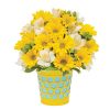 Sunshine Surprise Bouquet