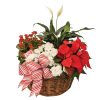 Christmas Candy Cane Basket